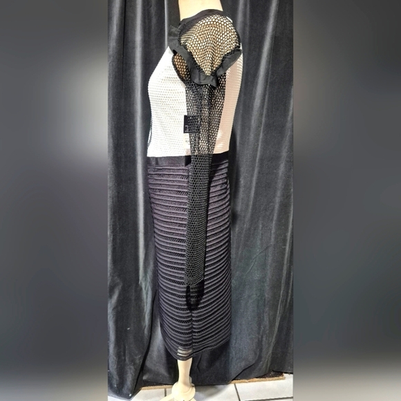 RUNWAY Chic Black and White Mesh Dress - Picture 2 of 7